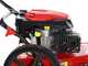 Blue Bird TrimTech W - Desbrozadora de ruedas de gasolina 4 tiempos de empuje