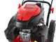 Blue Bird TrimTech W - Desbrozadora de ruedas de gasolina 4 tiempos de empuje