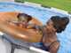 Bestway Steel Pro Max 56416 - &Oslash;366x76 cm - Piscina redonda para 5-6 personas