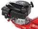Eurosystems Z2 RM - Motoazada de gasolina - Rato RV145
