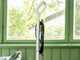 Karcher SC 1 Upright - Mopa a vapor higienizante - 1300W
