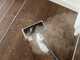 Karcher SC 1 Multi &amp; Up - Limpiador a vapor - 1300 W