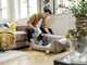 Karcher VC 4 Cordless myHome Car - Escoba el&eacute;ctrica - 21.6 V - 2.5 Ah