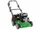 Marina Systems Picky L - Barredora de gasolina - Motor Loncin G200F