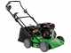 Marina Systems Picky L - Barredora de gasolina - Motor Loncin G200F