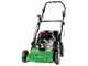 Marina Systems Picky L - Barredora de gasolina - Motor Loncin G200F