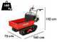 Benassi M353H - Carretilla de orugas extensible - Capacidad 350 Kg