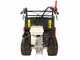 Benassi M353H - Carretilla de orugas extensible - Capacidad 350 Kg