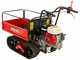 Benassi M503 - Carretilla de orugas extensible - Capacidad 550 Kg