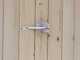 Alce Hobby 146x98 - Caseta de jard&iacute;n de madera - Con ventana delantera - 146x98x197 cm