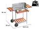 Ompagrill 60-40/Pro/C - Barbacoa de carb&oacute;n