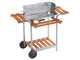 Ompagrill 60-40/Pro/C - Barbacoa de carb&oacute;n