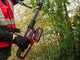 Einhell GP-LC 18/20 Li T BL-Solo - Podadora el&eacute;ctrica a bater&iacute;a con p&eacute;rtiga telesc&oacute;pica -18 V - BATER&Iacute;AS Y CARGADOR NO EST&Aacute;N INCLUIDOS