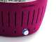 LotusGrill LG G34 U PU - Barbacoa port&aacute;til para exteriores - Morado