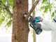 Makita DUC101ZJ LXT - Podadora manual de bater&iacute;a - 18V/6Ah
