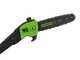 Greenworks GD60PS25 - Podadora de bater&iacute;a con p&eacute;rtiga 60V - Bater&iacute;a 4Ah