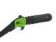 Greenworks GD60PS25 - Podadora de bater&iacute;a con p&eacute;rtiga 60V - Bater&iacute;a 4Ah