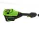 Greenworks GD60PS25 - Podadora de bater&iacute;a con p&eacute;rtiga 60V - Bater&iacute;a 4Ah