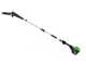 Greenworks GD60PS25 - Podadora de bater&iacute;a con p&eacute;rtiga 60V - Bater&iacute;a 4Ah