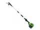 Greenworks GD60PS25 - Podadora de bater&iacute;a con p&eacute;rtiga 60V - Bater&iacute;a 4Ah