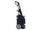 Annovi &amp; Reverberi 780 Dual PRO - Hidrolimpiadora de agua fr&iacute;a - 160 bar - 600 L/h