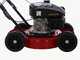 Marina System Speedy L - Cortac&eacute;sped mulching de empuje - Motor Loncin LC1P65FE