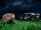 Worx Landroid Vision Cloud WR344E - Robot cortac&eacute;sped 4WD - Sin instalaci&oacute;n