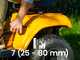Stiga Tornado 398e - Kit Tractor cortac&eacute;sped + 2 m&oacute;dulos bater&iacute;a ePower Pro 56V/40Ah - Salida lateral y mulching