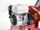 Ceccato Tritone Sprint - Biotrituradora de gasolina profesional - Motor Honda GP 160