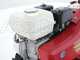 EuroSystems E5-EVO 2+1 S/R RM - Motoazada de gasolina 5 HP - Honda GP160