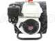 Benassi MC2300H Reverso - Motocultor de gasolina - Honda GP160 - 5.5HP