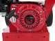 Ceccato Tritone One - Biotrituradora de gasolina - Motor Honda GX 200