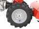 Diesse Minitriss - Motocultor de gasolina - RATO R210 - 6.7HP