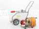 Carretilla fumigadora de mezcla GeoTech SP 520 2S con motor de 2 tiempos