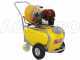 Carretilla fumigadora de gasolina GeoTech SP 540 4S con motor de 4 tiempos de gasolina