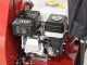 Benassi AF200SL -Aspirador de hojas de gasolina autopropulsado - Honda GX200