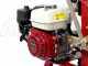 Rajadora de le&ntilde;a de gasolina Ceccato BULL SPL16-TCH, 16 toneladas