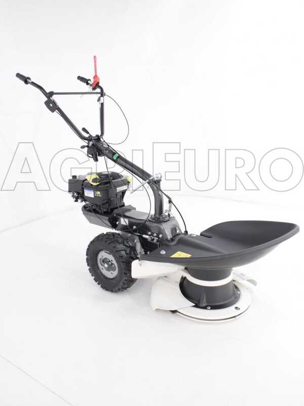 Eurosystems TM 70 EVO - Motosegadora multifunci&oacute;n rotativa - B&amp;S 850E I/C
