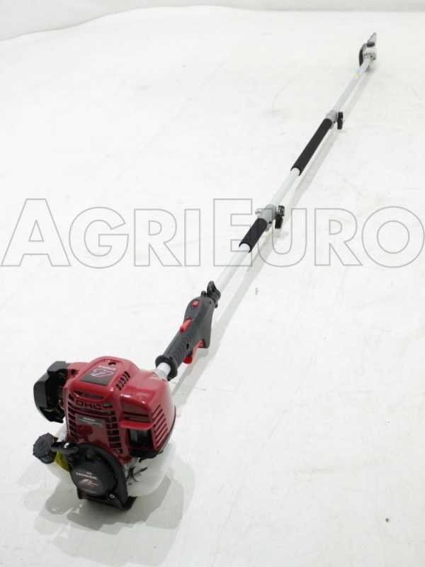 Attila GX 35 - Vareador de aceitunas + Desbrozadora multifunci&oacute;n con motor Honda