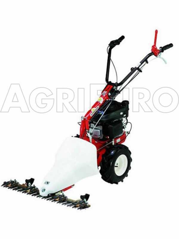 Eurosystems P55 - Motosegadora multifunci&oacute;n rotativa - Honda GCVX 170