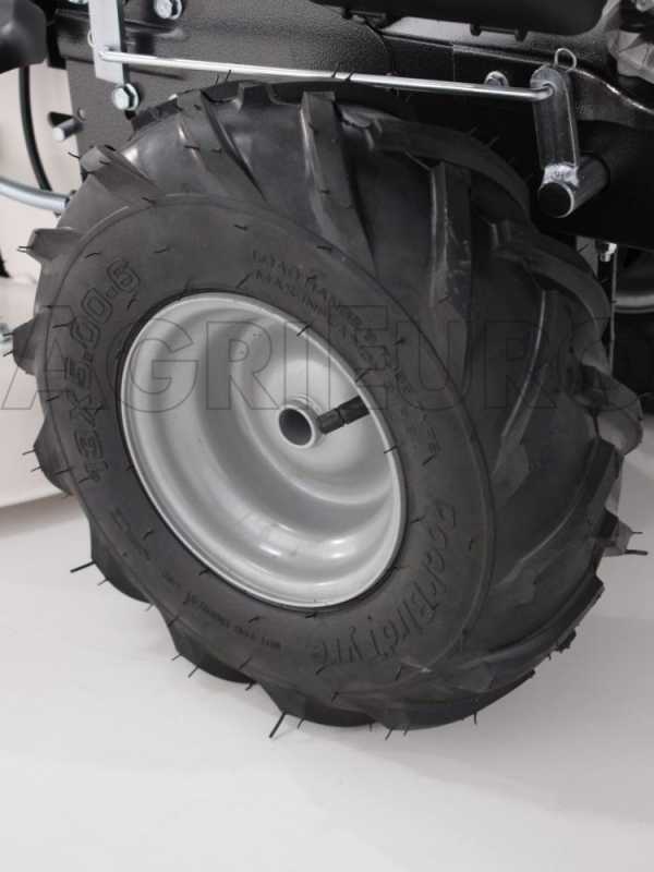 Eurosystems P55 - Motosegadora multifunci&oacute;n rotativa - Honda GCVX 170