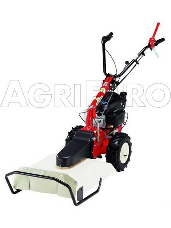 Eurosystems P55 - Motosegadora multifunci&oacute;n rotativa - Loncin 196cc