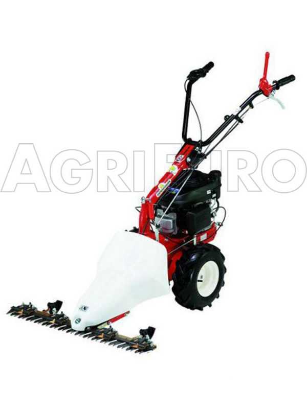 Eurosystems P55 - Motosegadora multifunci&oacute;n de doble cuchilla - Loncin 196 OHV