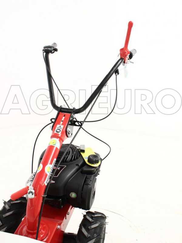 Eurosystems M210 - Motosegadora de doble cuchilla - B&amp;S 450E