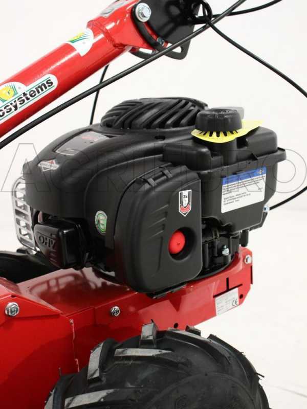 Eurosystems M210 - Motosegadora de doble cuchilla - B&amp;S 450E