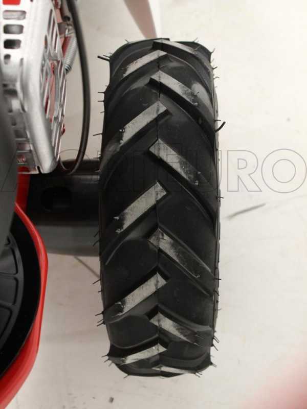 Eurosystems M210 - Motosegadora de doble cuchilla - B&amp;S 450E