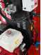 Ceccato Tritone Super Monster - Biotrituradora profesional - con ruedas - Motor Honda GX690