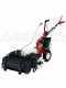 Eurosystems P55 - Motosegadora multifunci&oacute;n rotativa - Honda GCVX 170