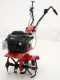 Eurosystems Z2-RM - Motoazada de gasolina 3.5 HP - Briggs&amp;Stratton 450
