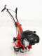 Eurosystems Z2-RM - Motoazada de gasolina 3.5 HP - Briggs&amp;Stratton 450